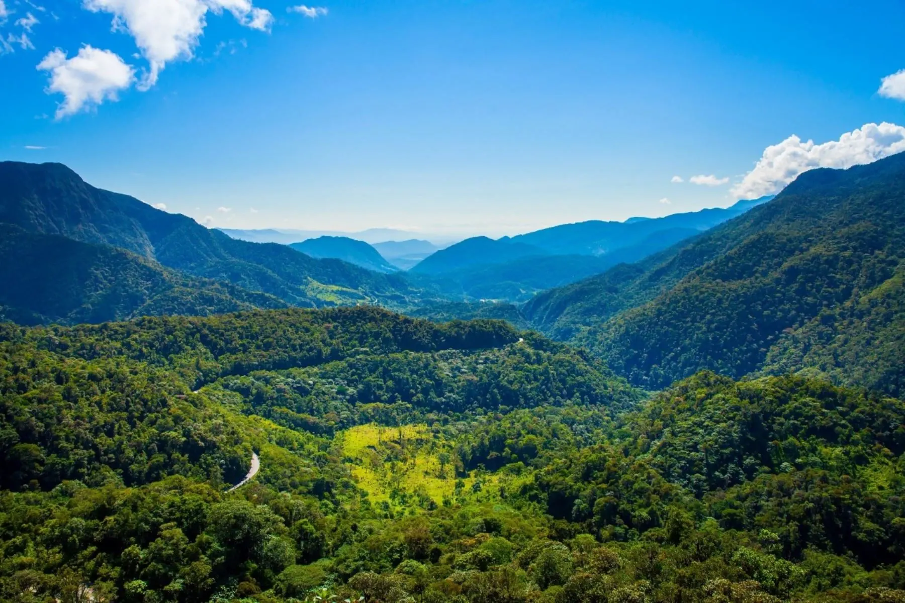 Imagen de Bosque De Protección Alto Mayo